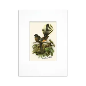 100% NZ Mini Buller Bird Print