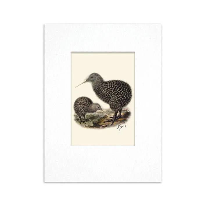 100% NZ Mini Buller Bird Print