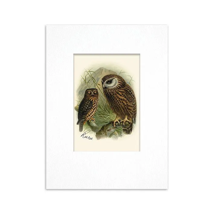 100% NZ Mini Buller Bird Print