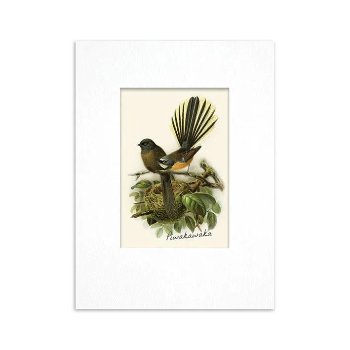 100% NZ Mini Buller Bird Print