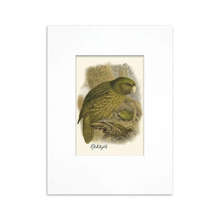 100% NZ Mini Buller Bird Print