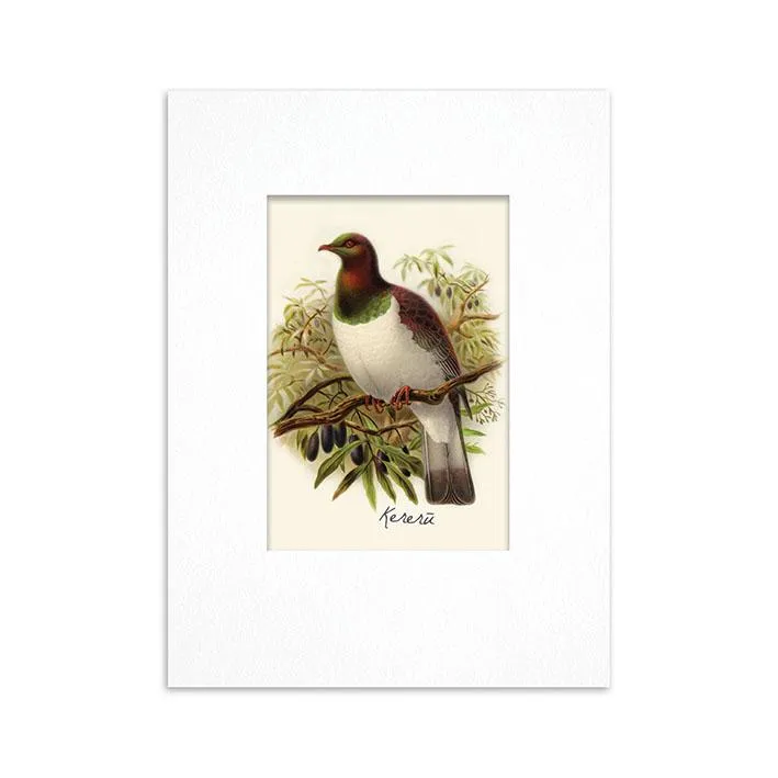 100% NZ Mini Buller Bird Print