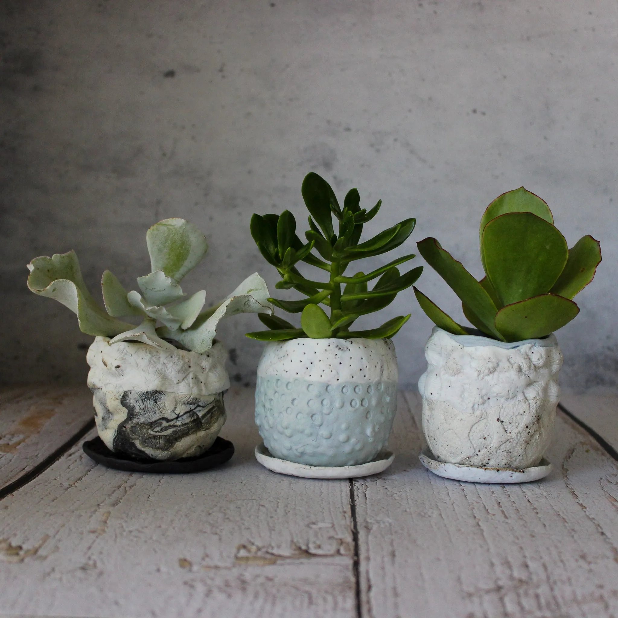 Ceramic Planter & Saucer Sets