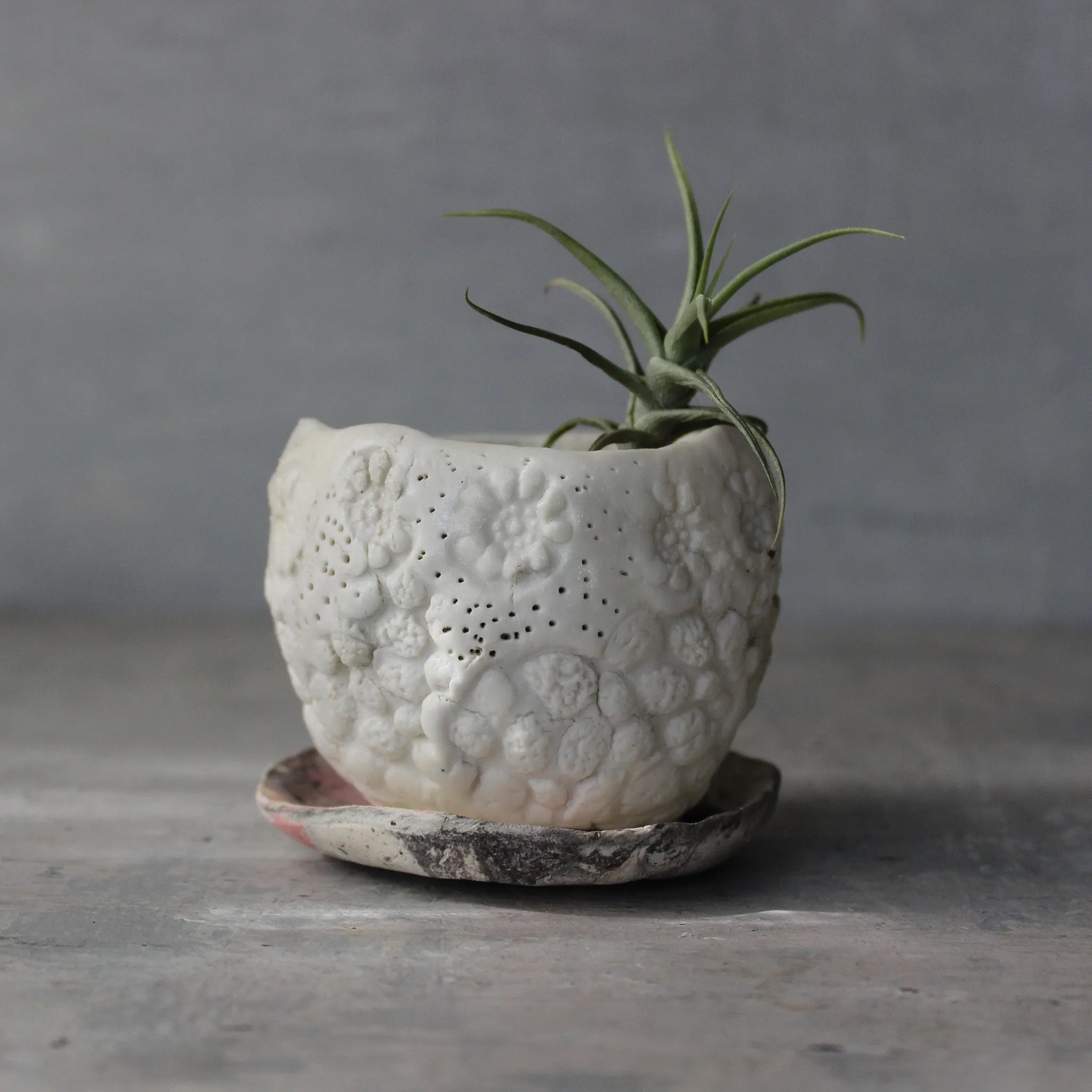 Ceramic Planter & Saucer Sets