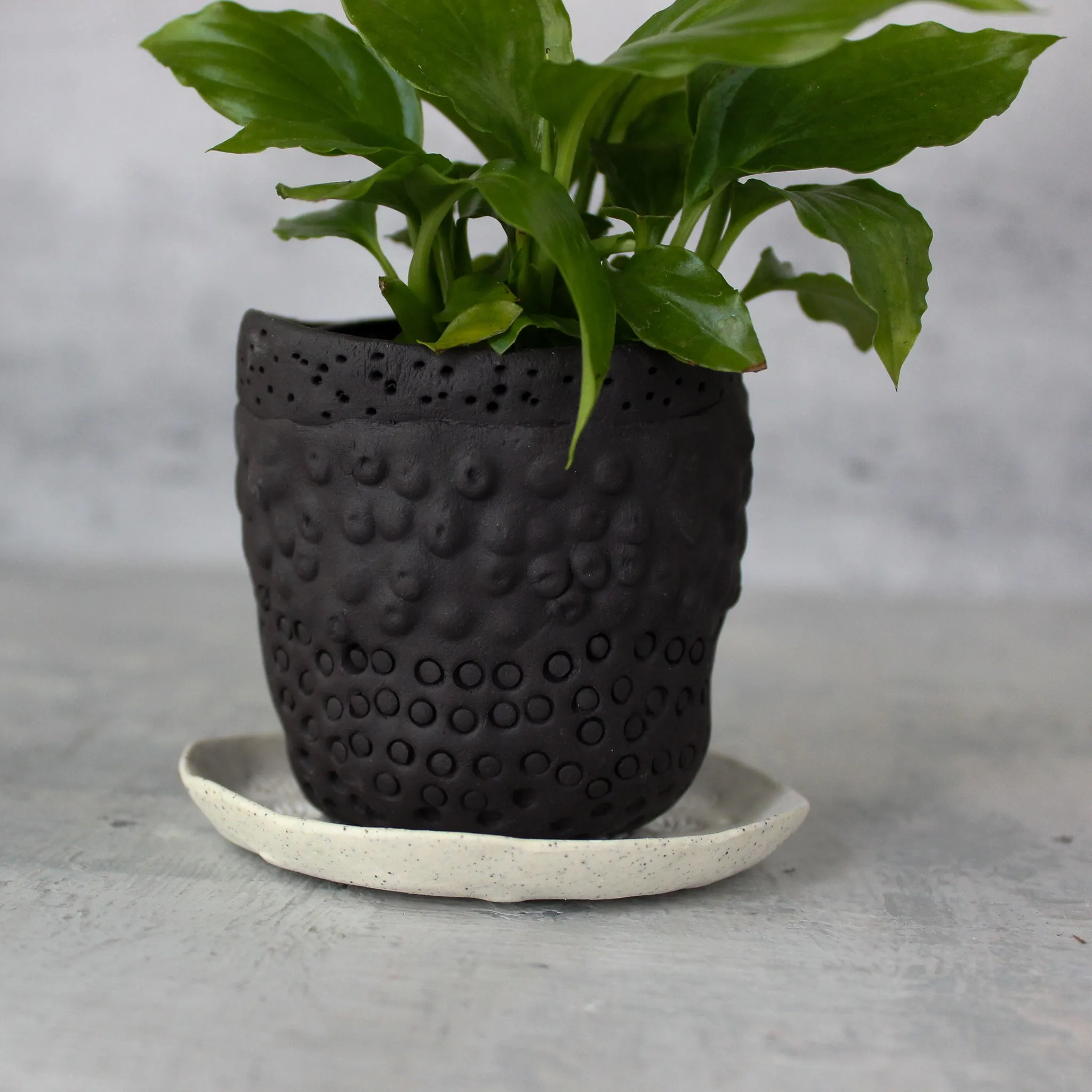 Ceramic Planter & Saucer Sets