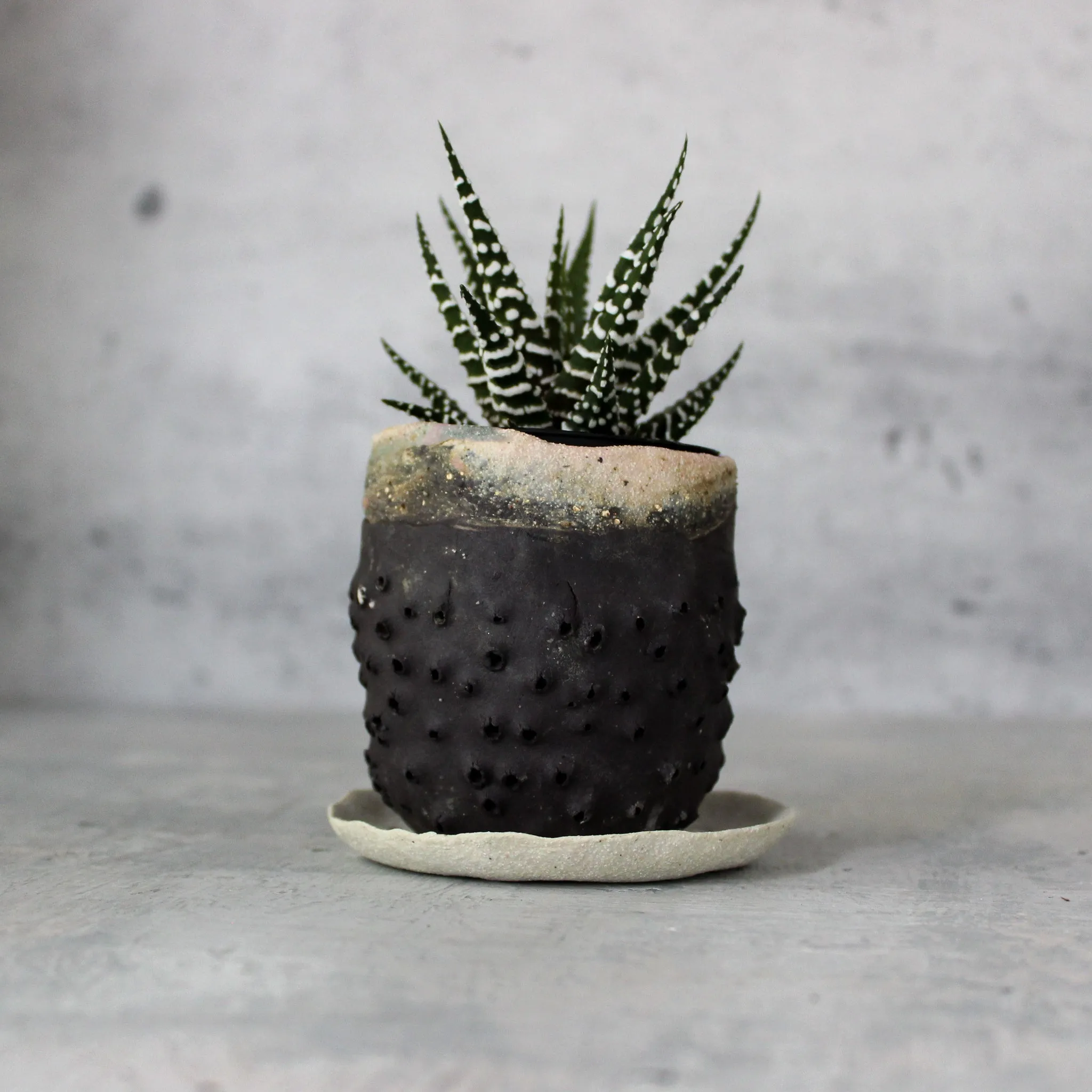 Ceramic Planter & Saucer Sets