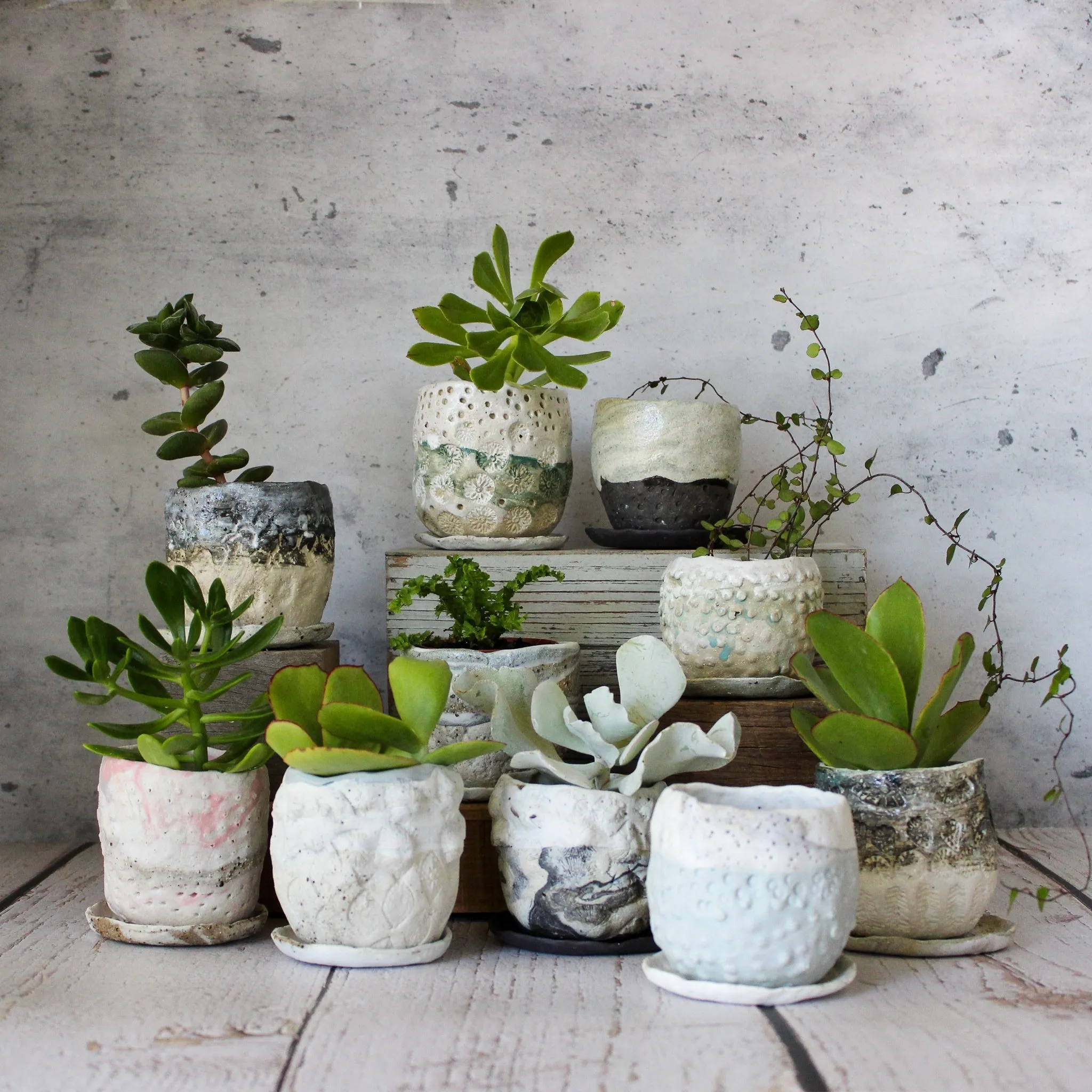 Ceramic Planter & Saucer Sets