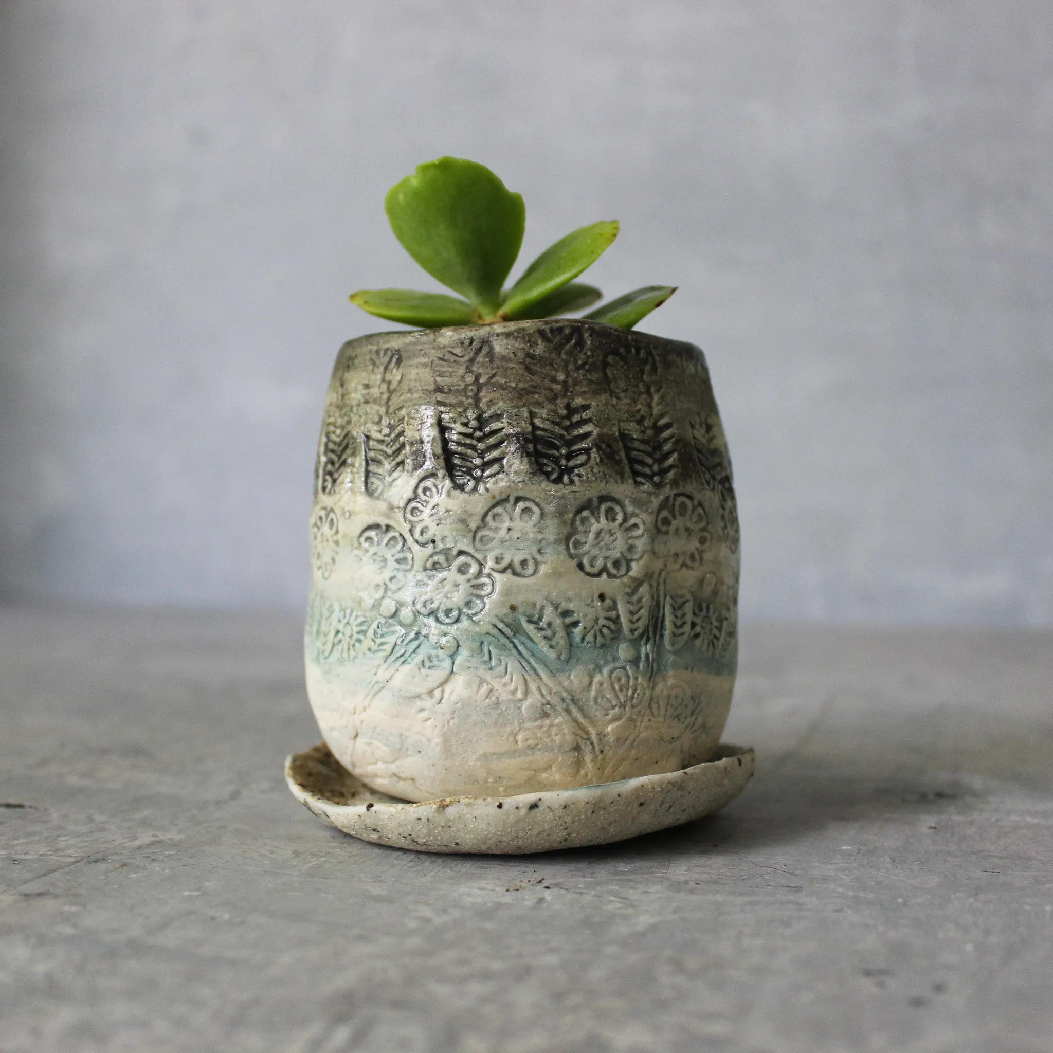 Ceramic Planter & Saucer Sets