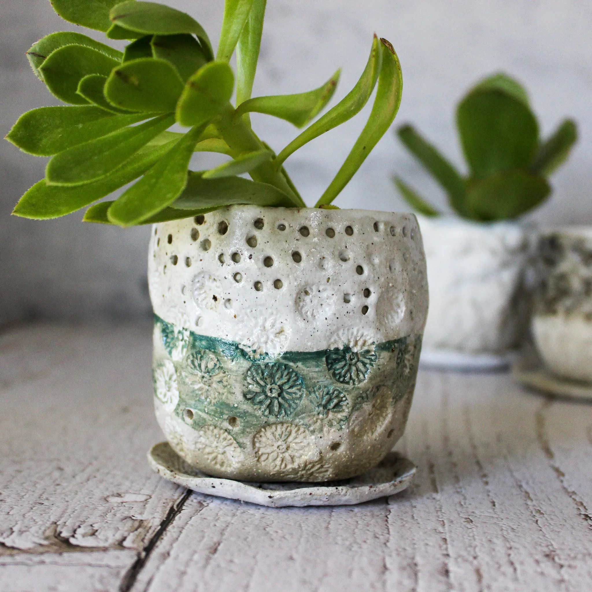 Ceramic Planter & Saucer Sets