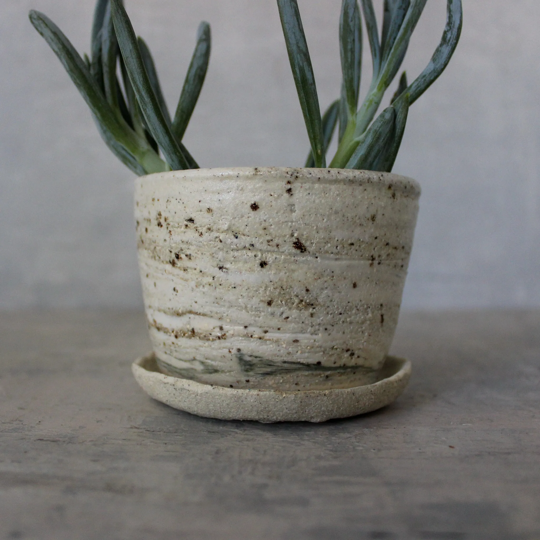 Ceramic Planter & Saucer Sets