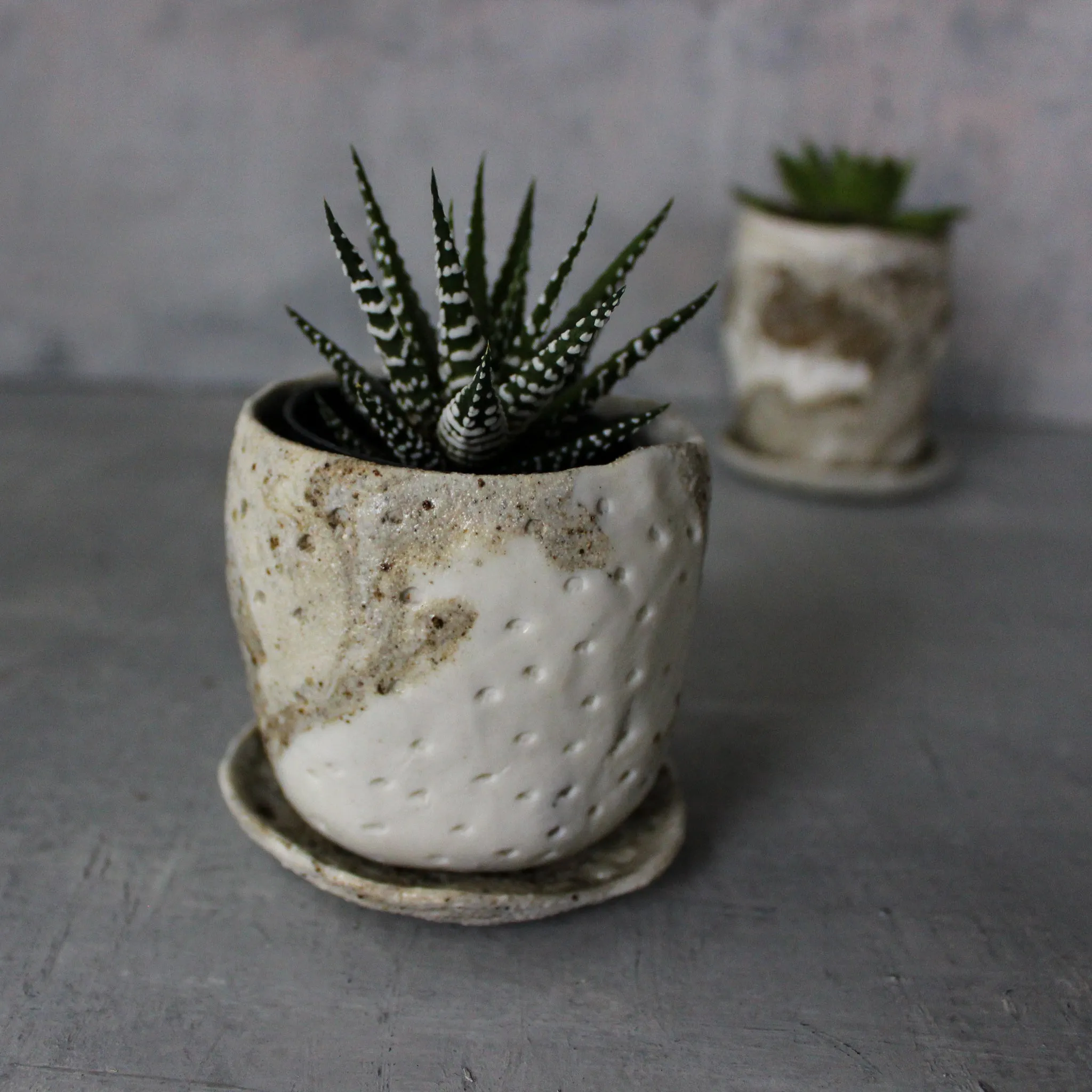 Ceramic Planter & Saucer Sets
