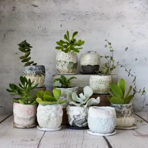 Ceramic Planter & Saucer Sets