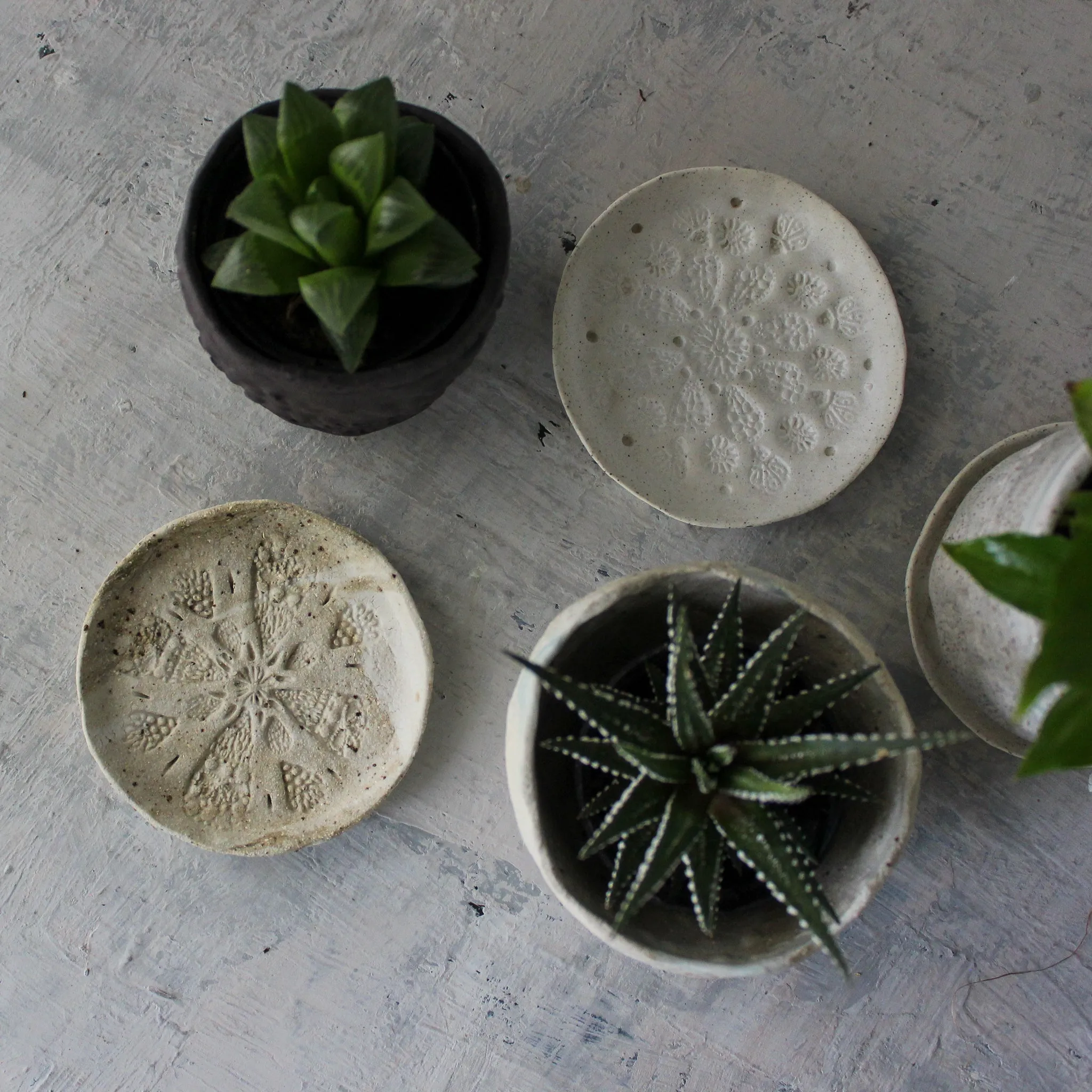 Ceramic Planter & Saucer Sets