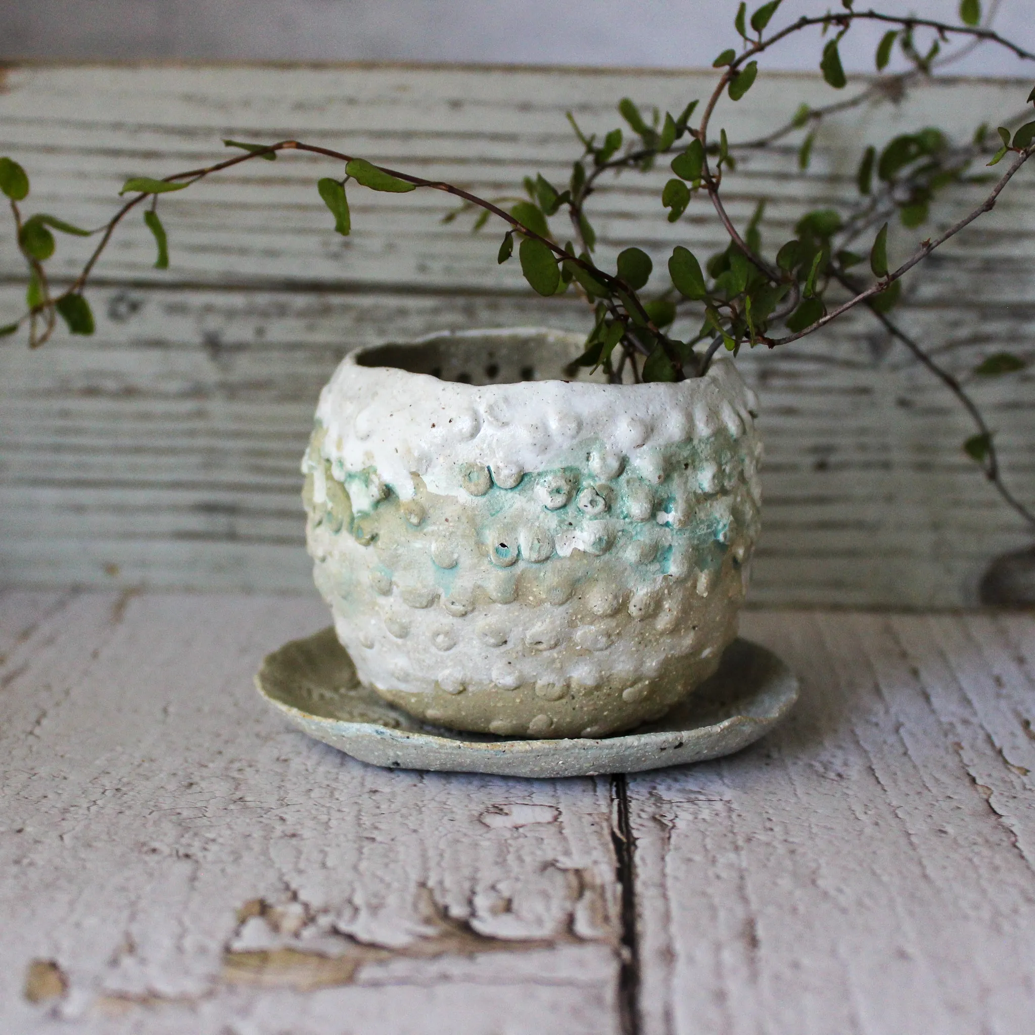 Ceramic Planter & Saucer Sets