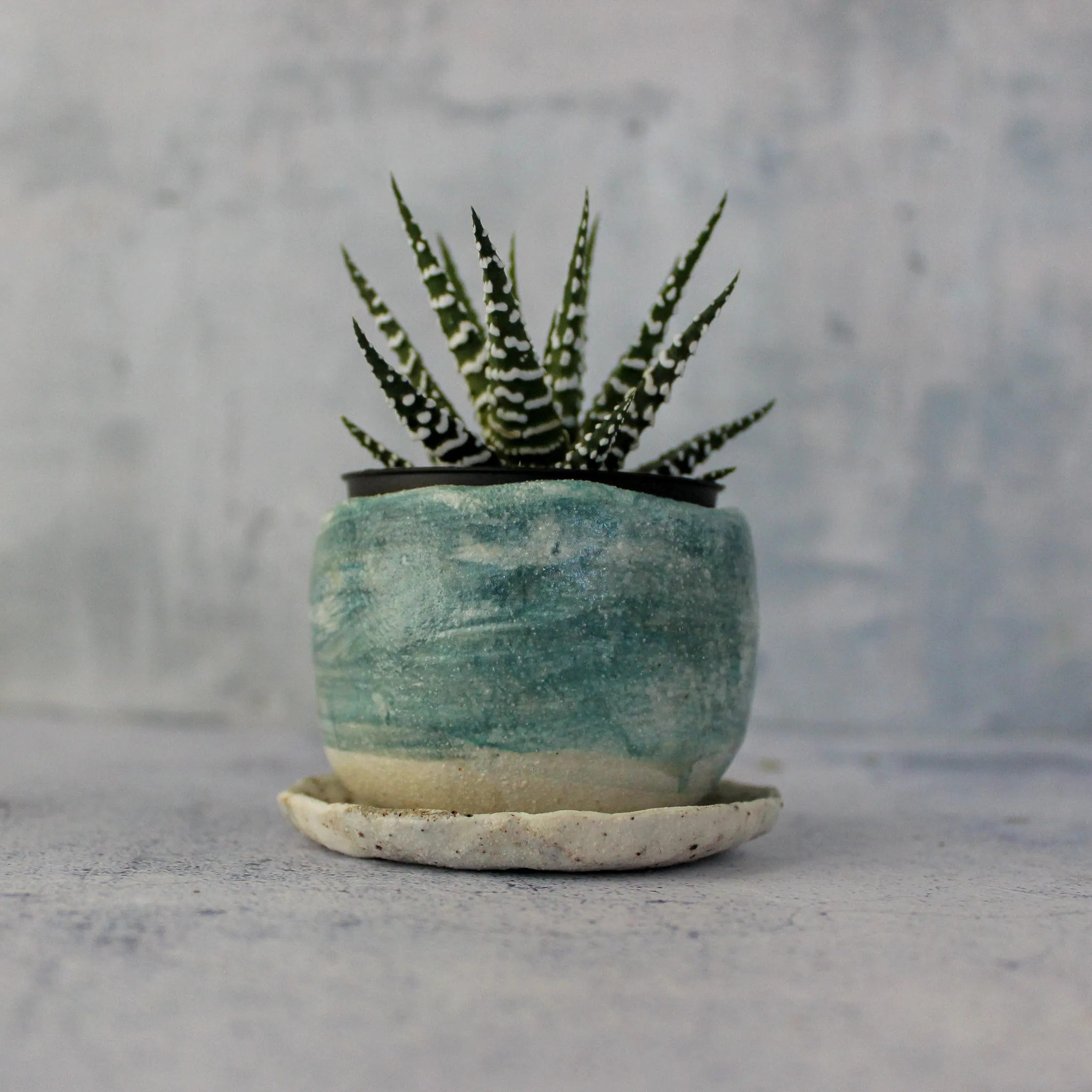 Ceramic Planter & Saucer Sets
