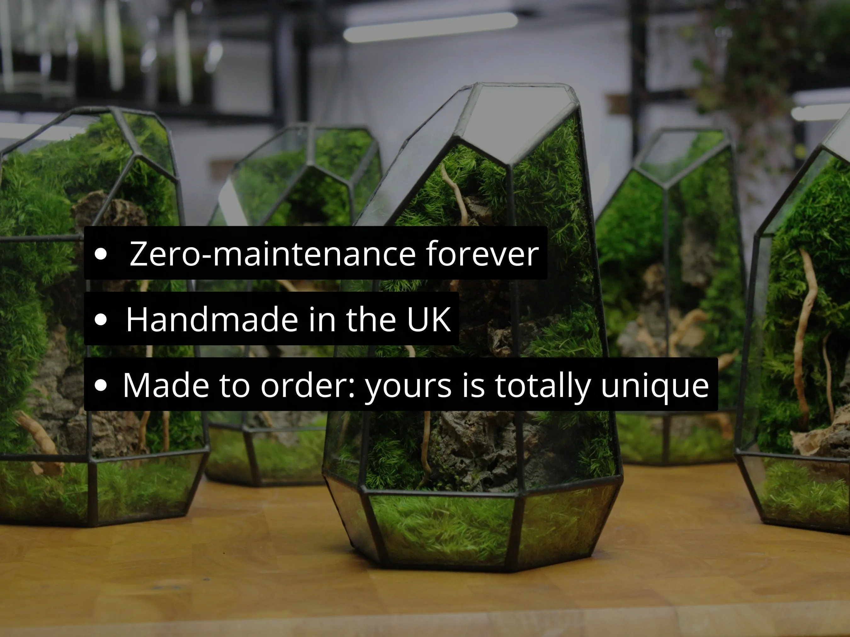 Desktop Mossarium Centrepiece (Geometric Terrarium)