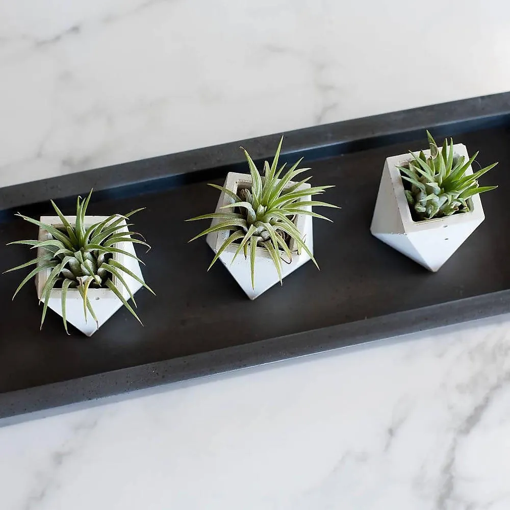 Geo Planter