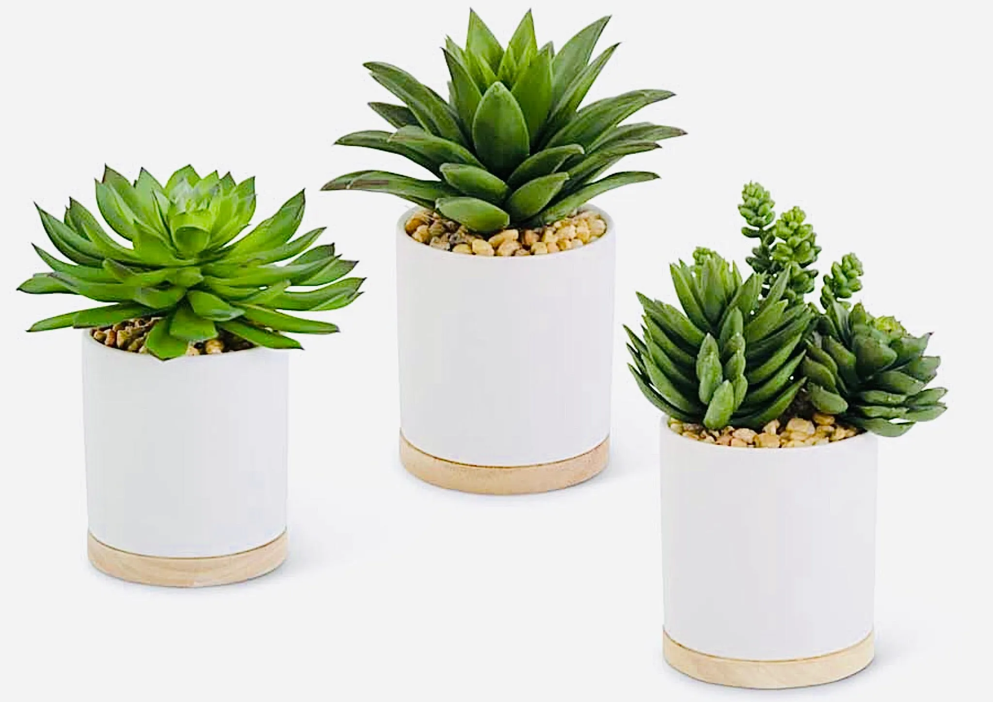 Potted Faux Succulent III