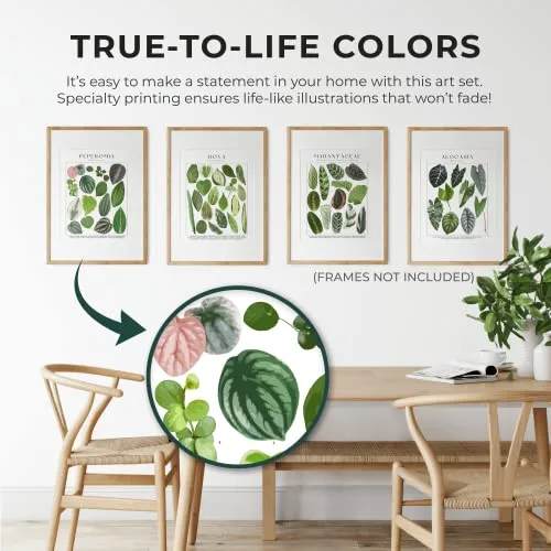 Potteur Plant Poster Set of 4 Wall Art UNFRAMED Green Plant Wall 11x14 Inch EDEN