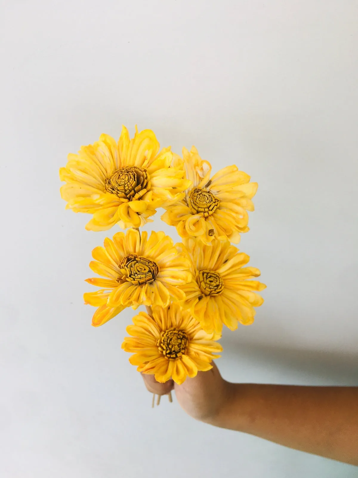 Sunflower Sola Flower | 5pcs