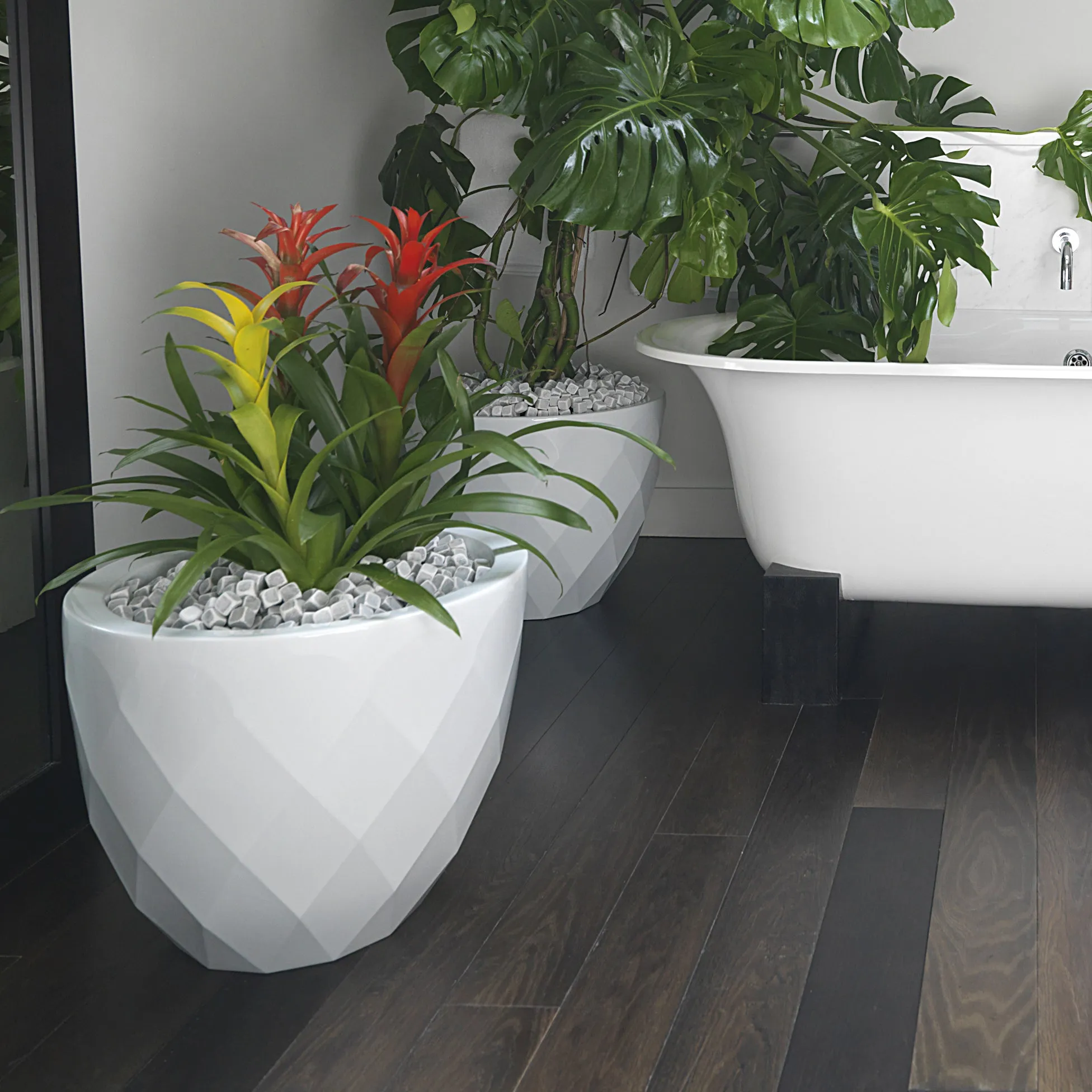 Vases Planter
